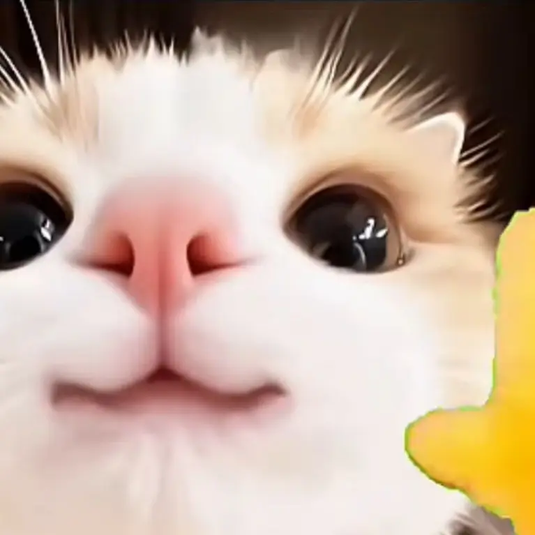 PainedSlur0597의 술마시기?!