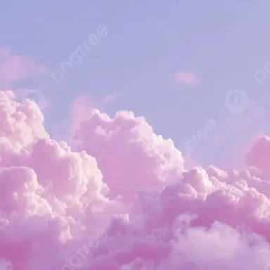 Profile image of 채밤비