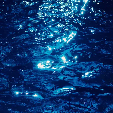 Profile image of 糸師 凛