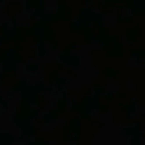 IVE 조직