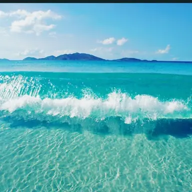 Profile image of 선생님