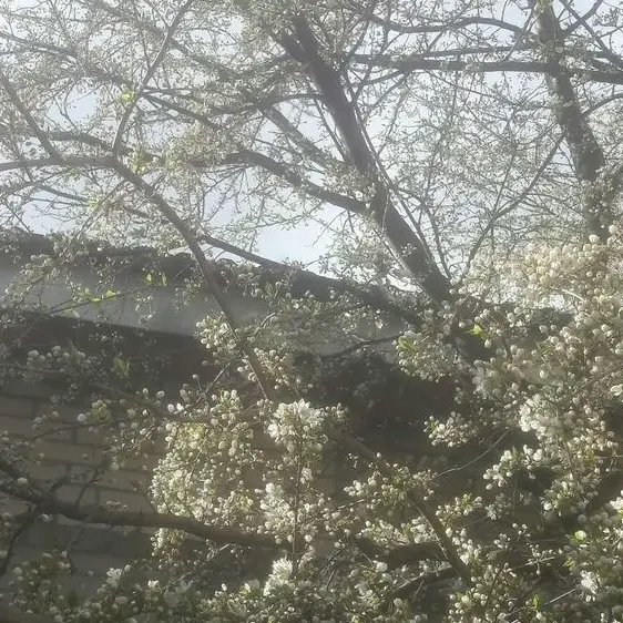 ThinDog4200의 ぐふふふふ……♡((きm