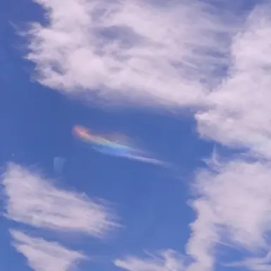 Profile image of 스코시즘