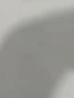 BoringSnore4299의 カナダ視点での家族(？)