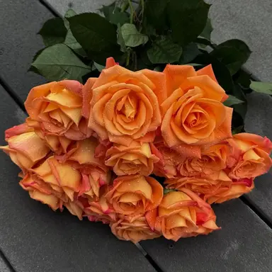 Profile image of 나미