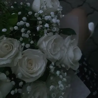 Profile image of 재브라