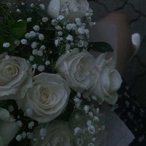 재브라
