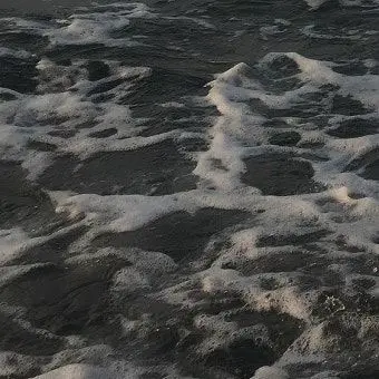 Profile image of 서백유