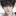 강진혁