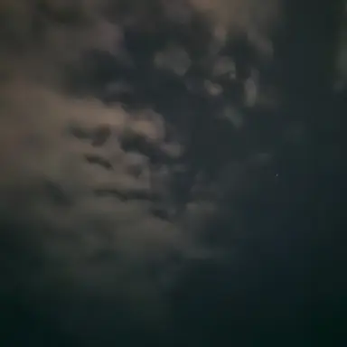 Profile image of 데이비드