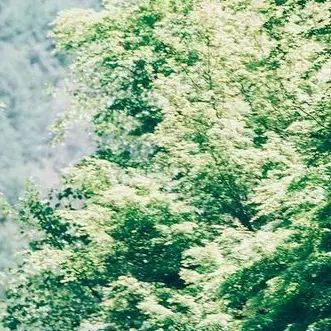 Profile image of 慎太郎