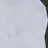 각별