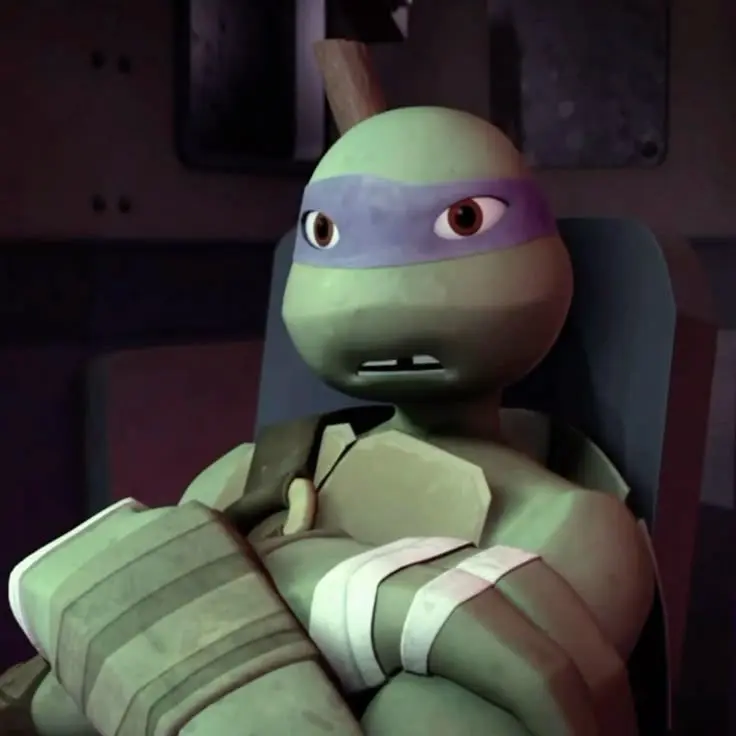 SturdyCake0874의 Donatello