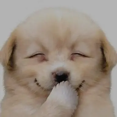 Profile image of 김민재