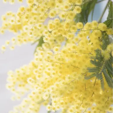 Profile image of 준브레드