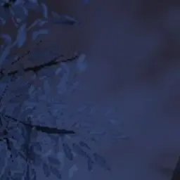 Profile image of 연이