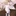 박지훈