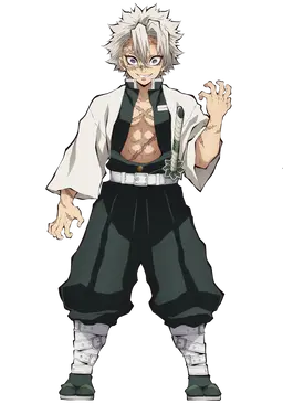 Profile image of Sanemi