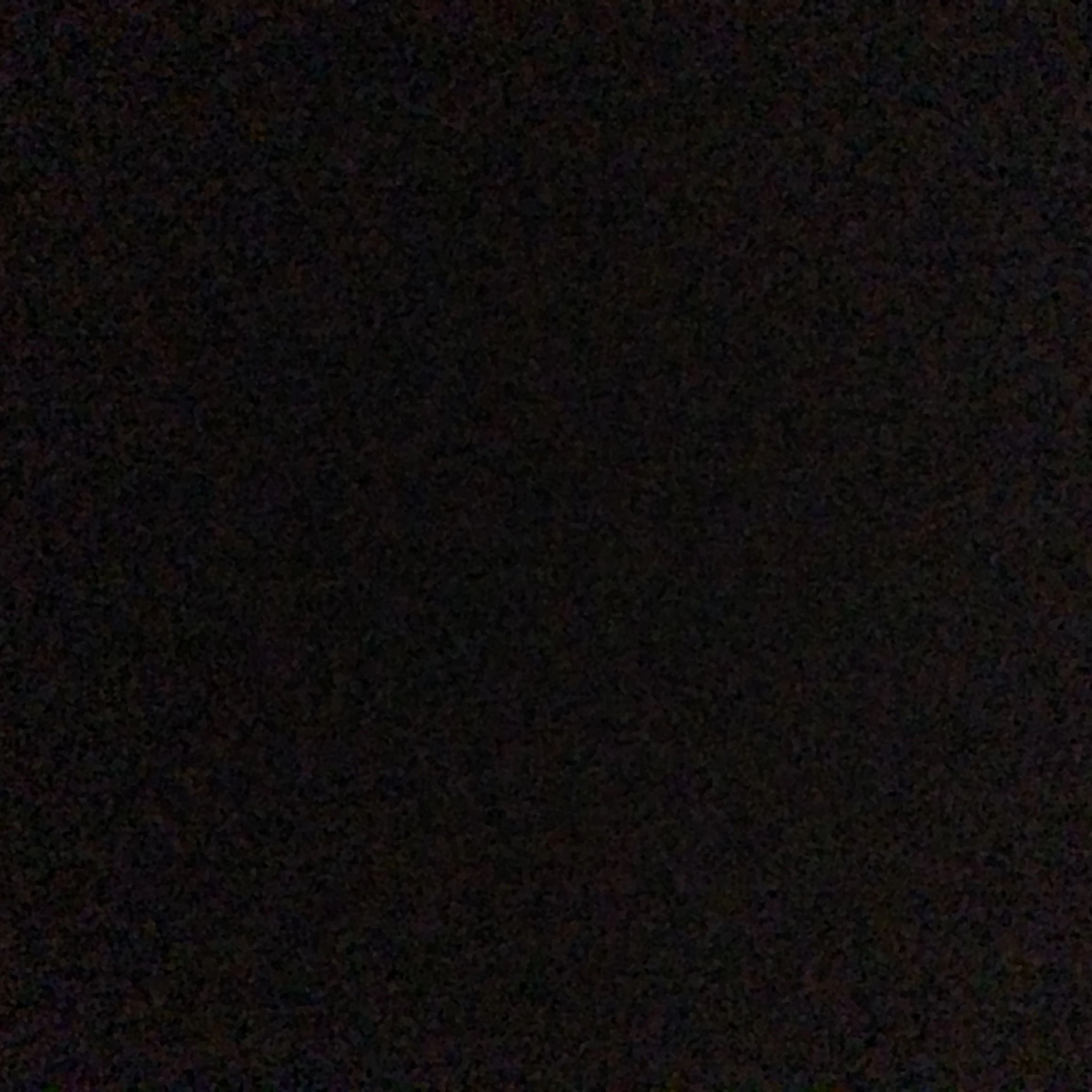 シェアハンス