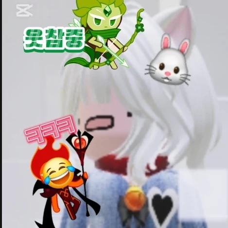 코코아
