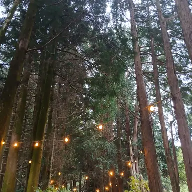 Profile image of 공경사