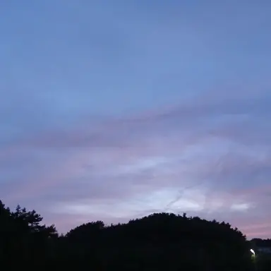 Profile image of 수경위