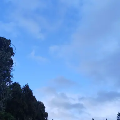 Profile image of 잠경위