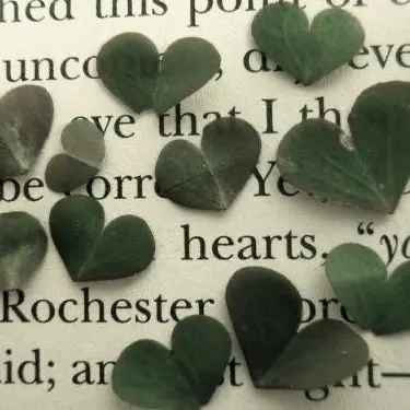 Profile image of 카운터