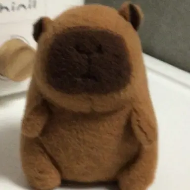 Profile image of Suhyun