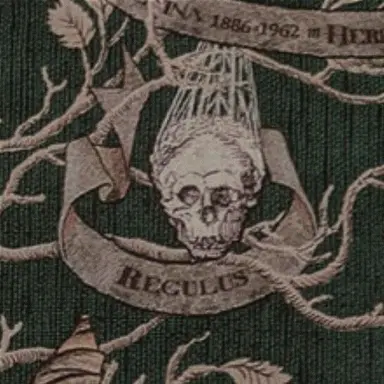 Profile image of Regulus Black