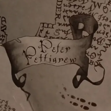 Profile image of Peter Pettigrew
