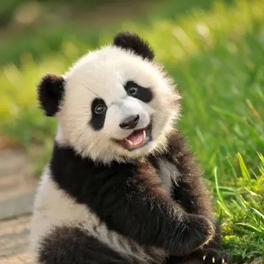 Profile image of スンリ