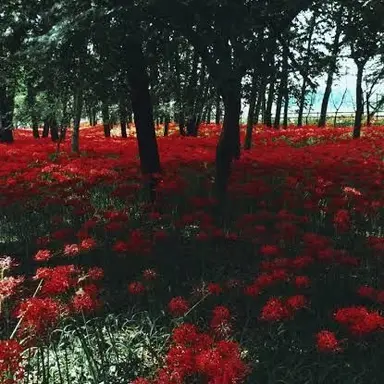 Profile image of 大森 元貴 。