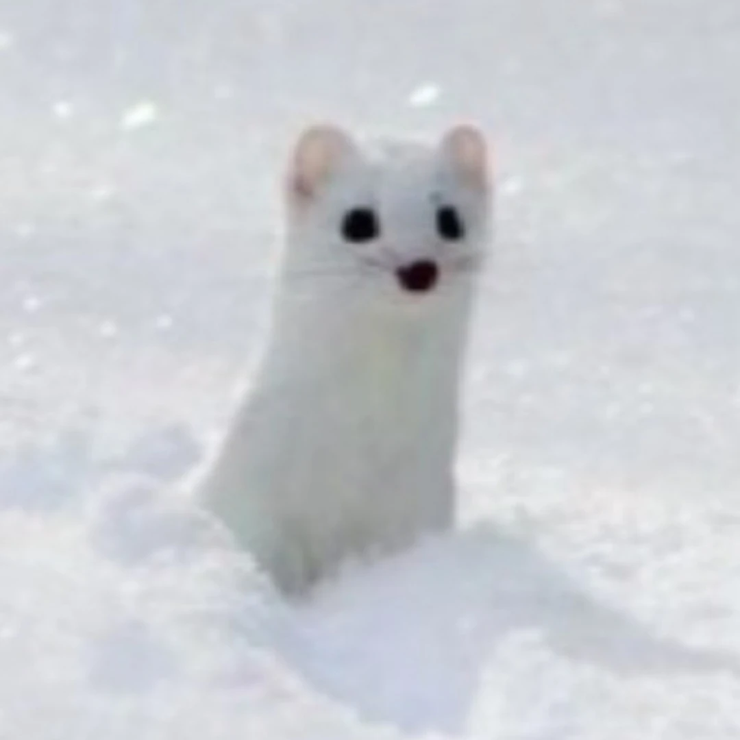 뜰팁