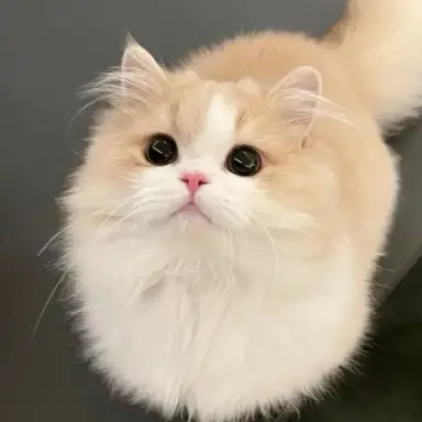 Profile image of 하늘