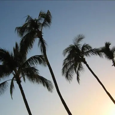 Profile image of 목박사