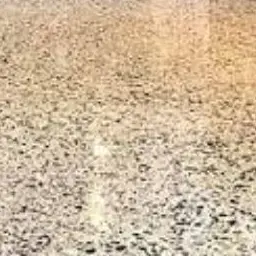 Profile image of 결핵