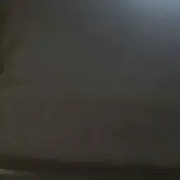 Profile image of 광조수