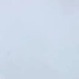 Profile image of 일본뇌염