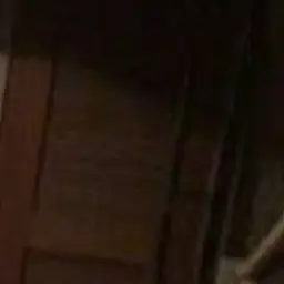 Profile image of 흑사병