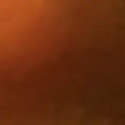 Profile image of 복스