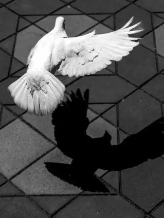 Incendiary의 차태경