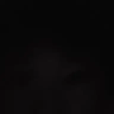 Profile image of 정체리