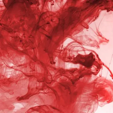 Profile image of 라더