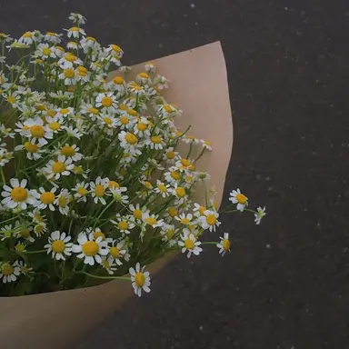 Profile image of 권지용