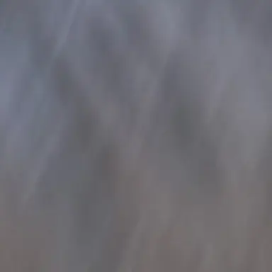 Profile image of 덕개