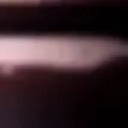 Profile image of 블리자드 잭