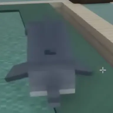 Profile image of 진상 손님 돌고래