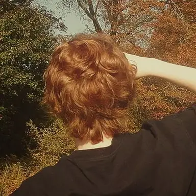Profile image of Alan