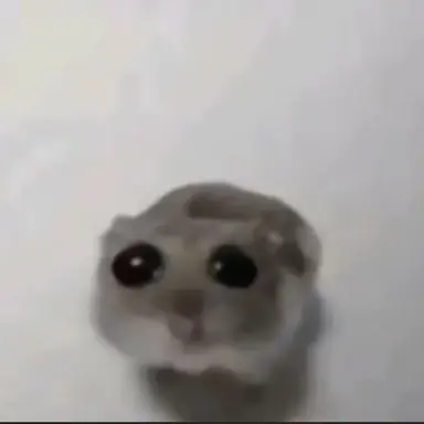 Profile image of Hampster